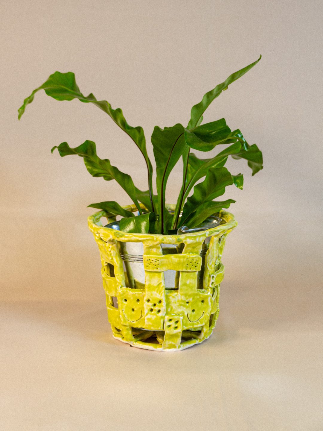 plant_lingerie_00010