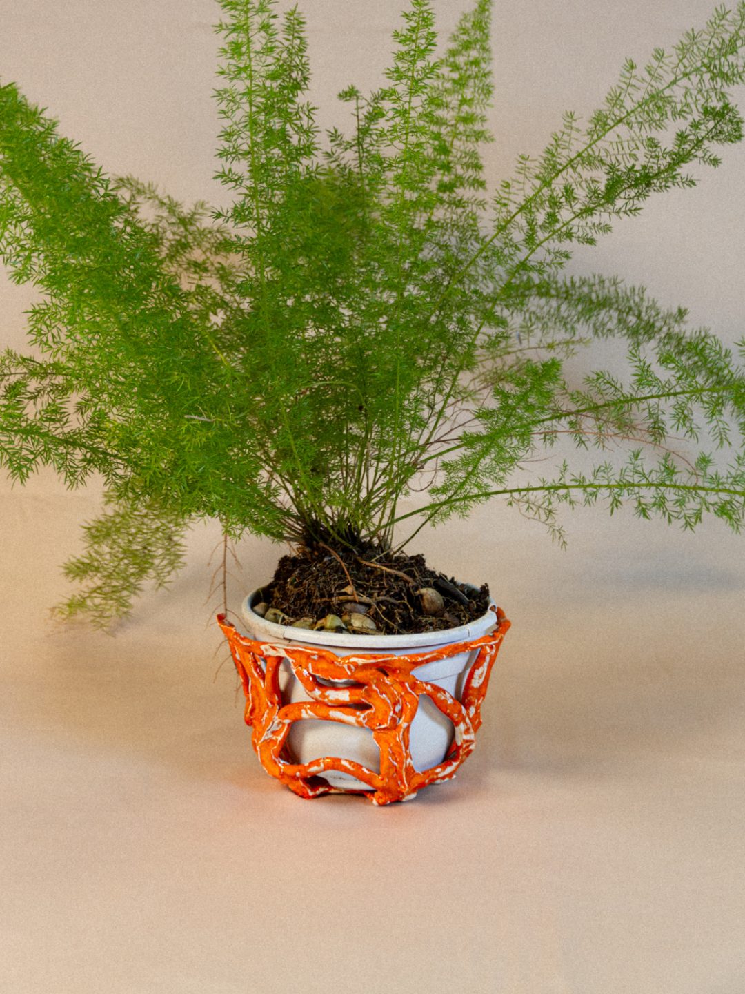 plant_lingerie_00011