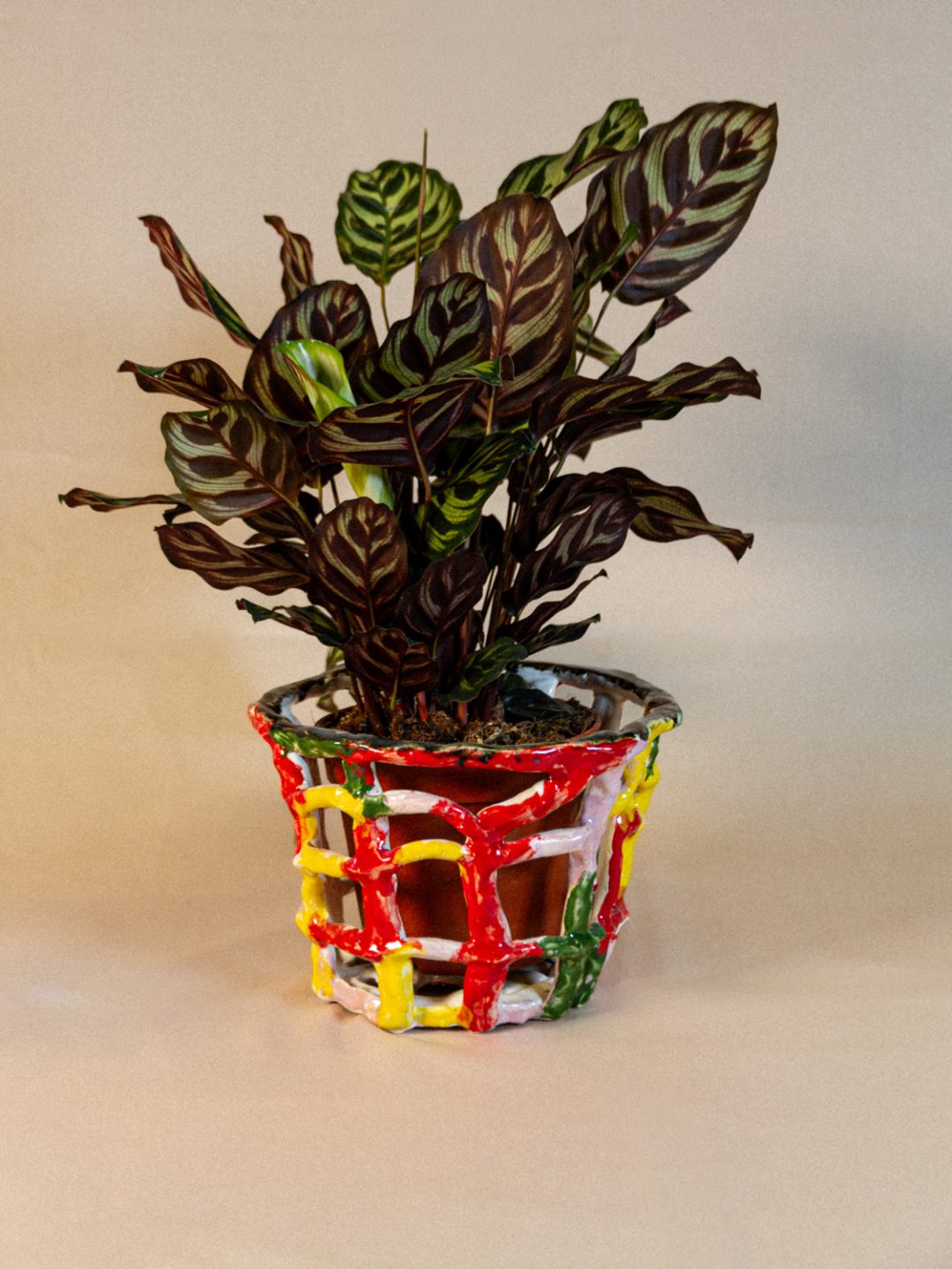 plant_lingerie_00014