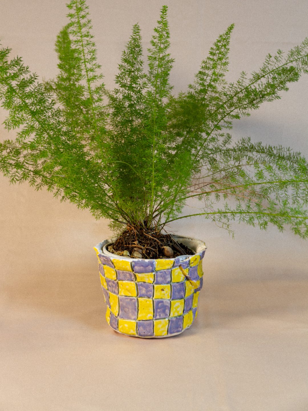 plant_lingerie_00028