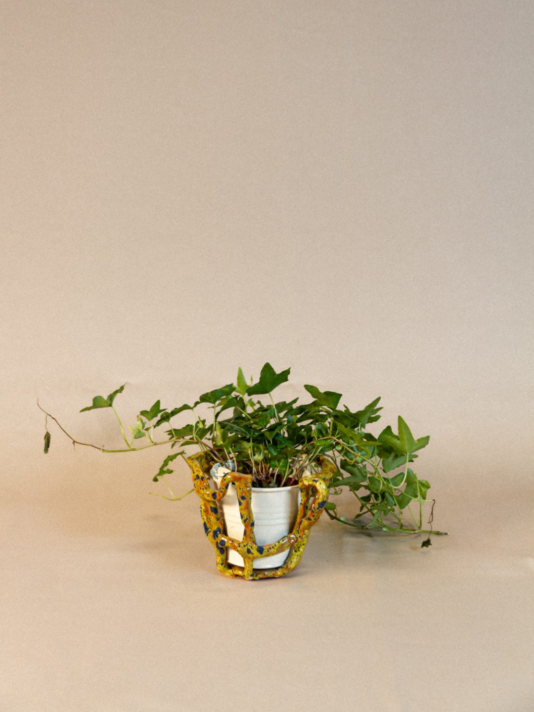 plant_lingerie_00039
